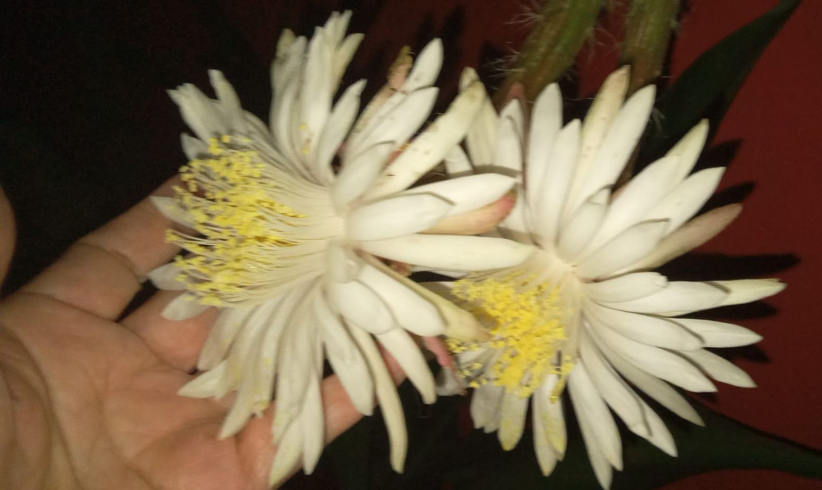 PHOTO-2024-05-10-02-33-12