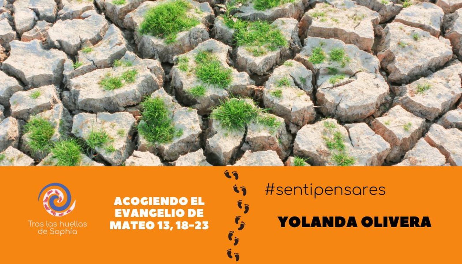 Acogiendo el Evangelio de Mateo 13, 18-23