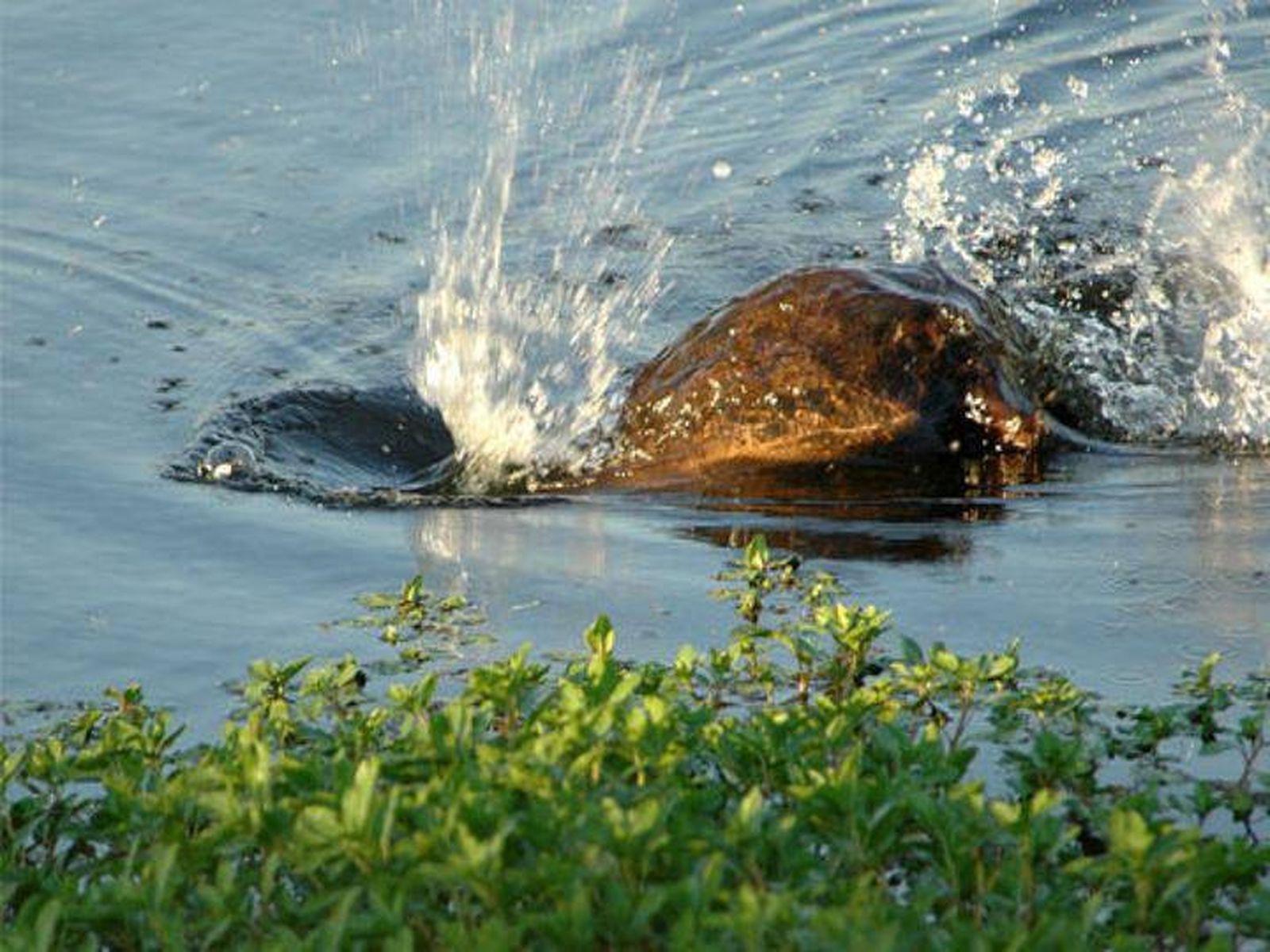 Vivir en profundidad la vida