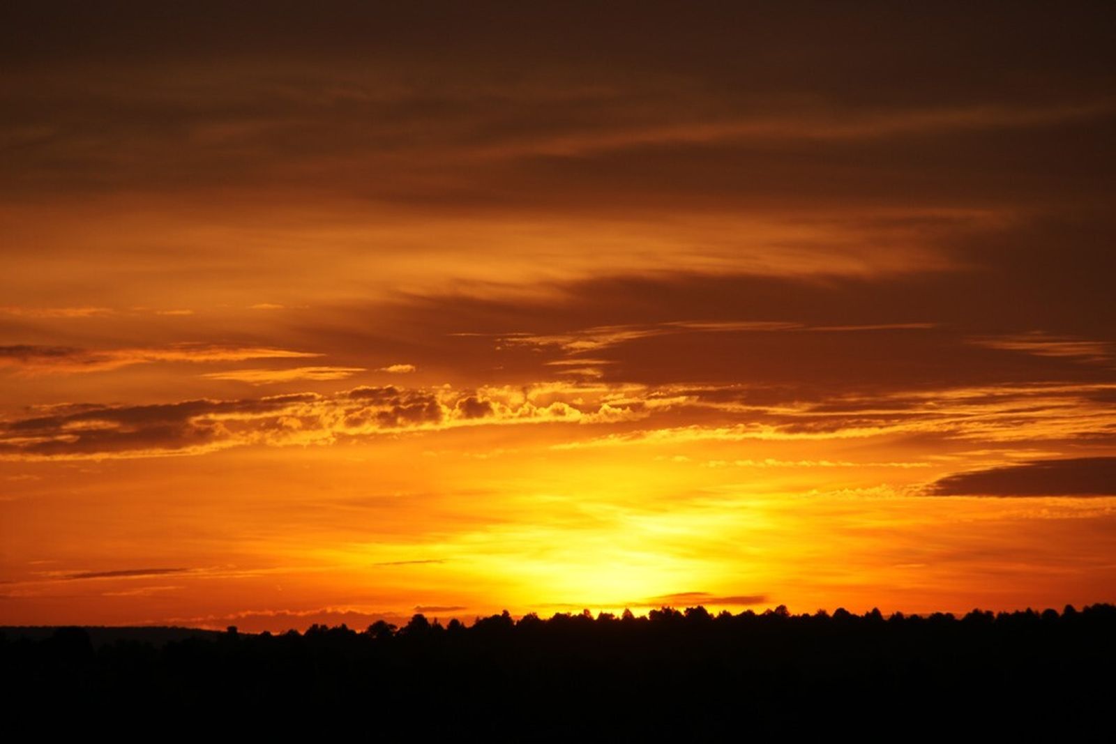 II Lunes de Cuaresma