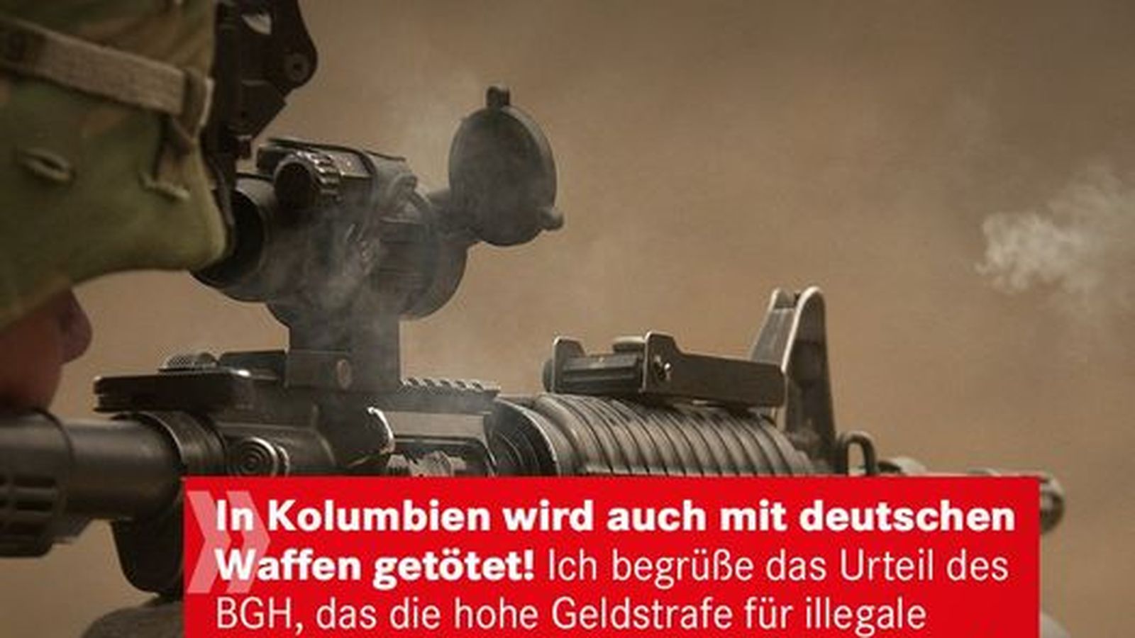 Boycot Die Linke Alemania