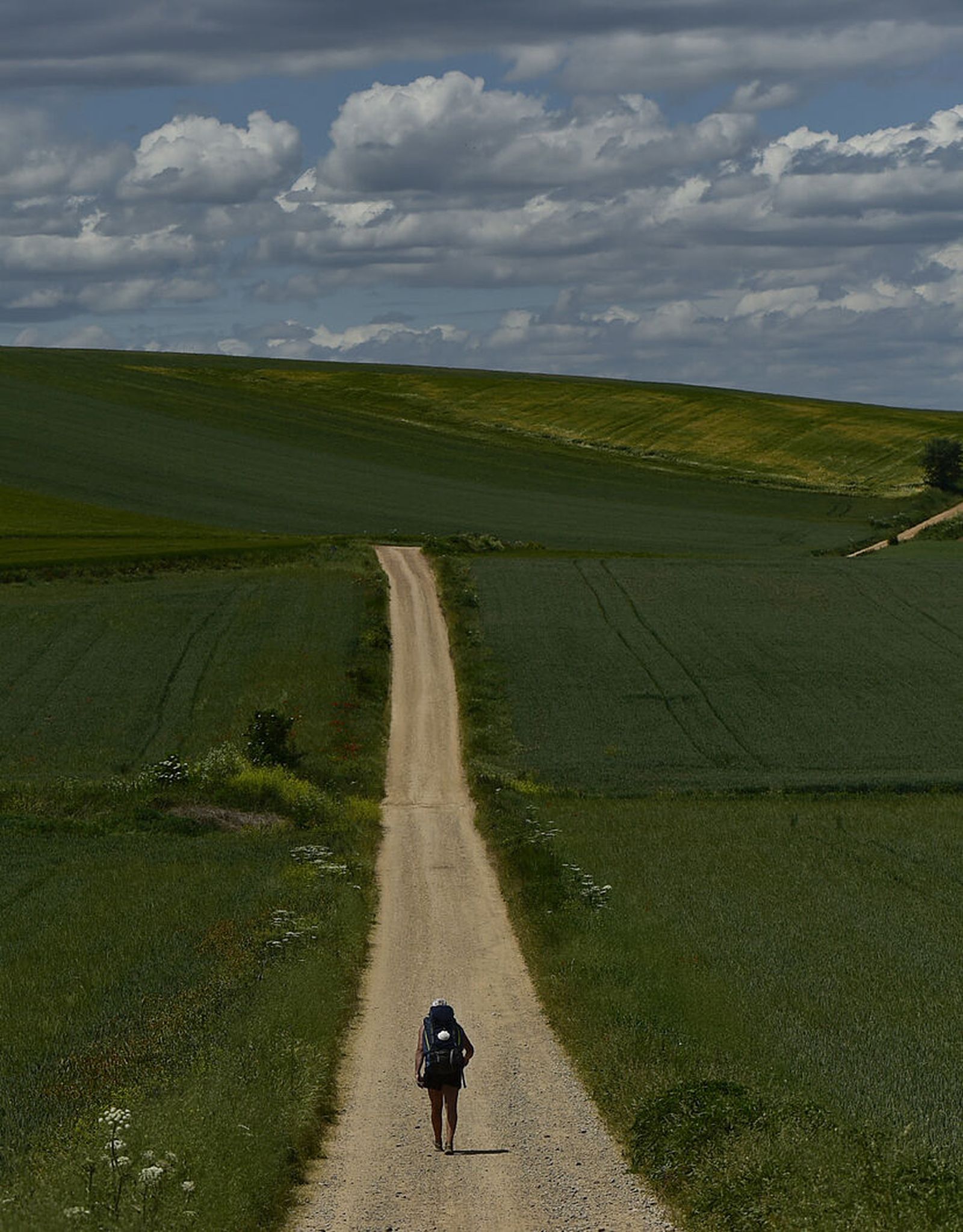Camino interior
