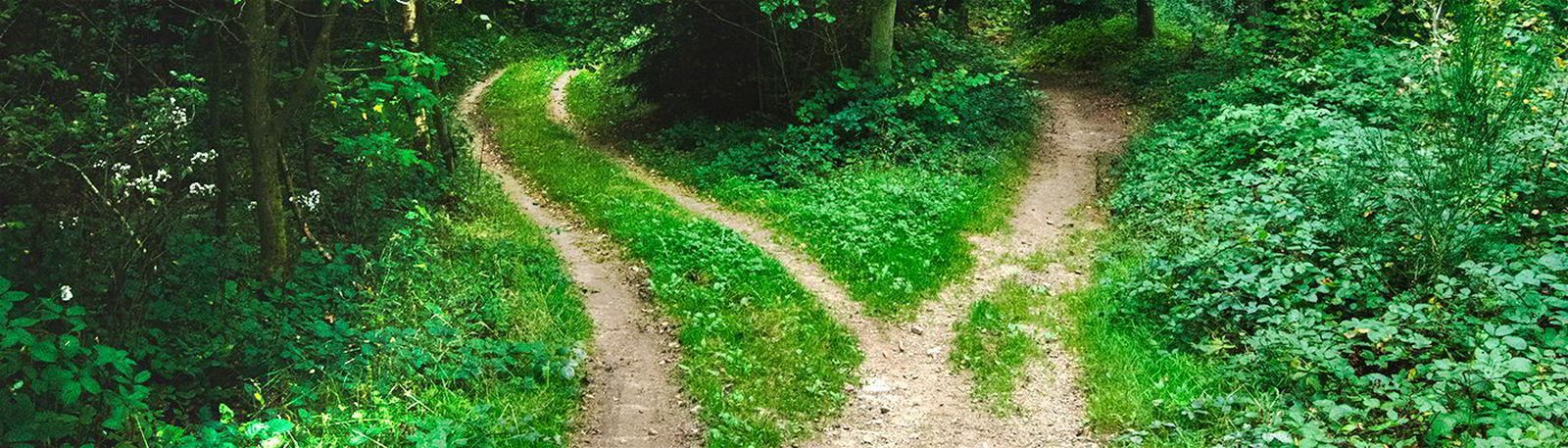 Decir sí, sin límites