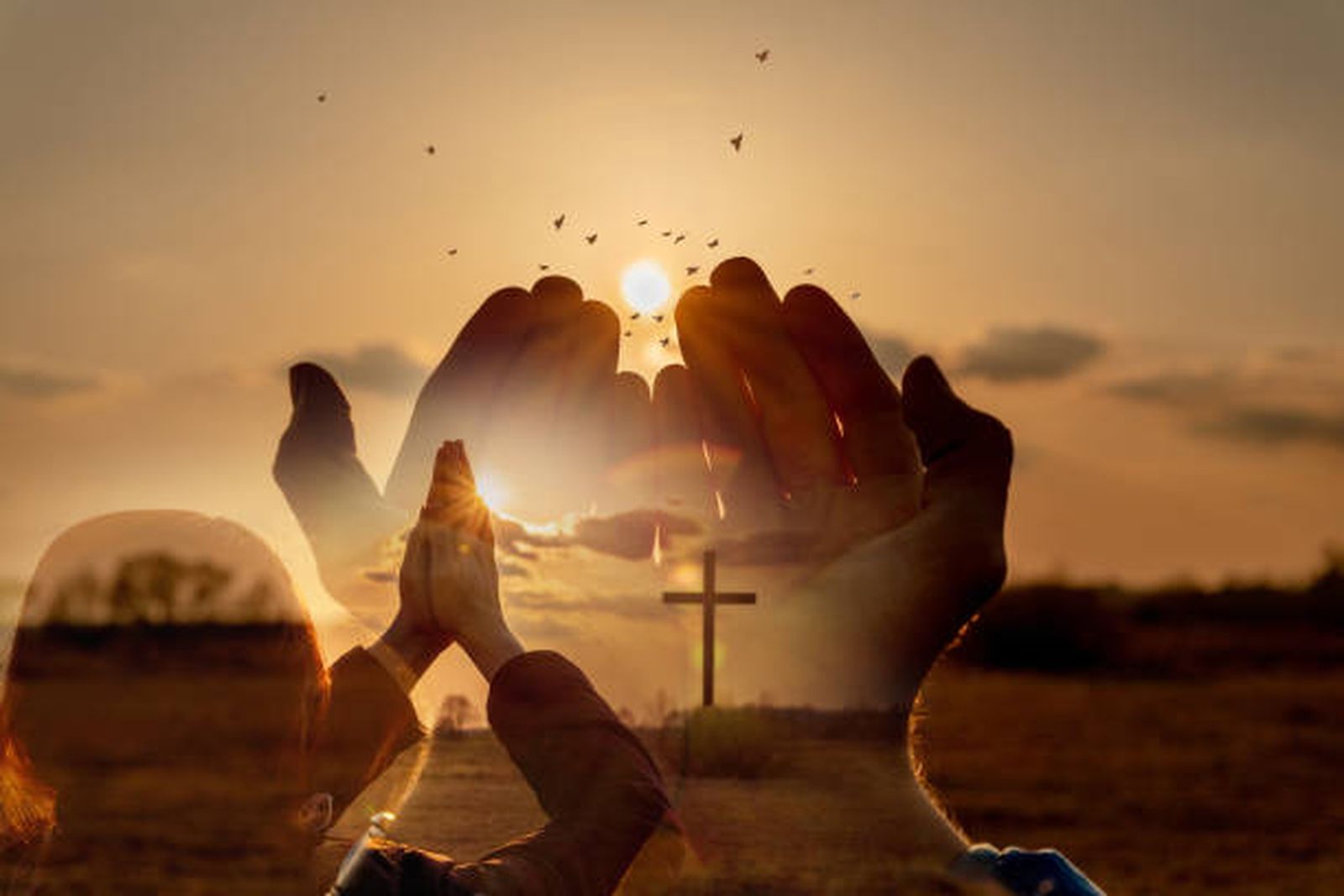 ❤️ Vaciarnos para llenarnos, y volver a vaciarnos.