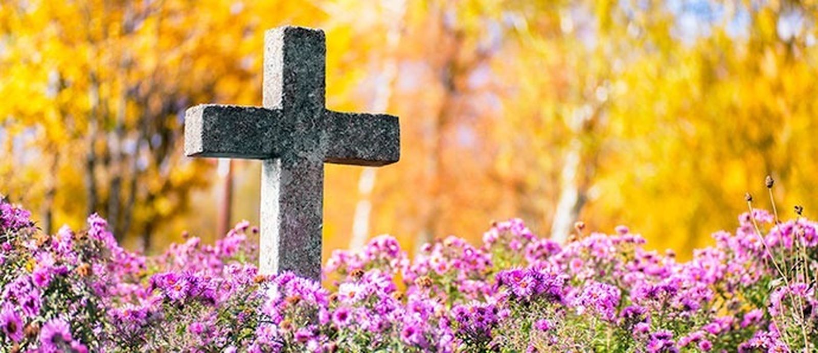 (Dia 2) El jardín de los muertos