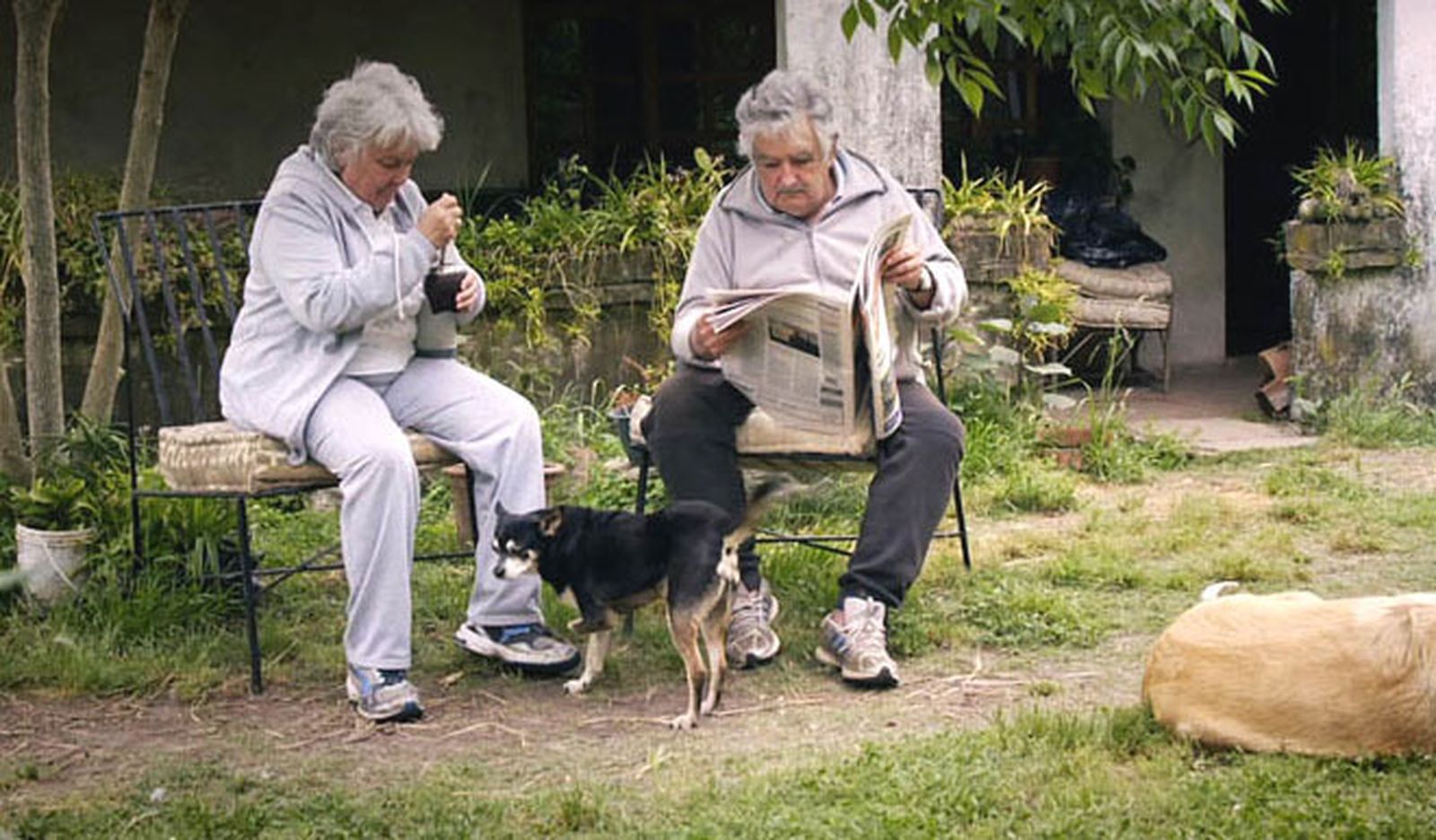 Querido Pepe, compañero, hermano