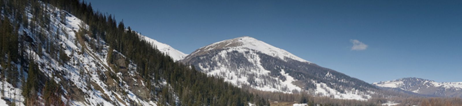 bach-tristano-coral-bwv645