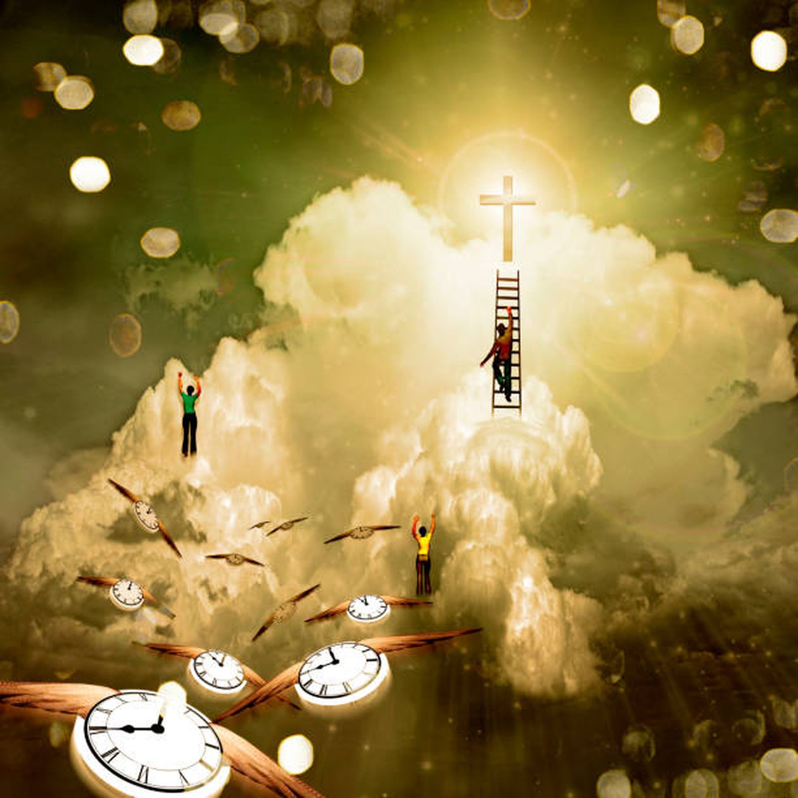 💙 CHARLAS CON SAN FRANCISCO DE ASÍS (VII): ¿ES POSIBLE VIVIR EL EVANGELIO Y CONFIAR EN DIOS?