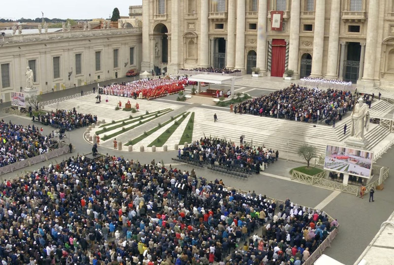 La plaza de San Pedro en la misa del Domingo de Ramos