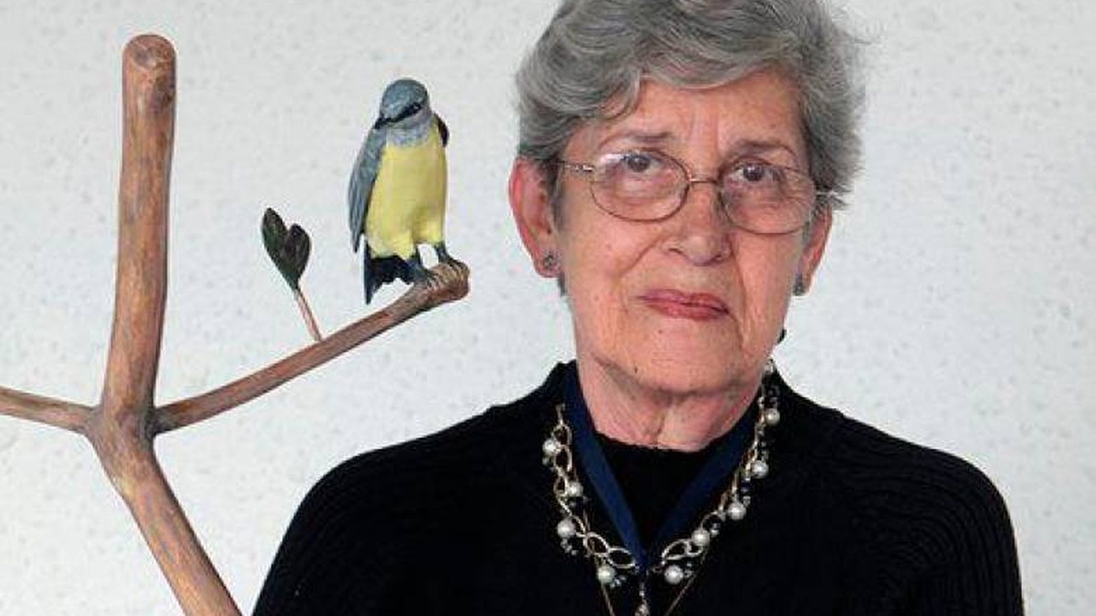 Fabiola Lalinde y el cirirí