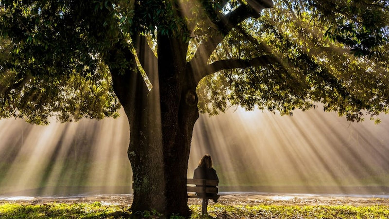 discernimiento personal