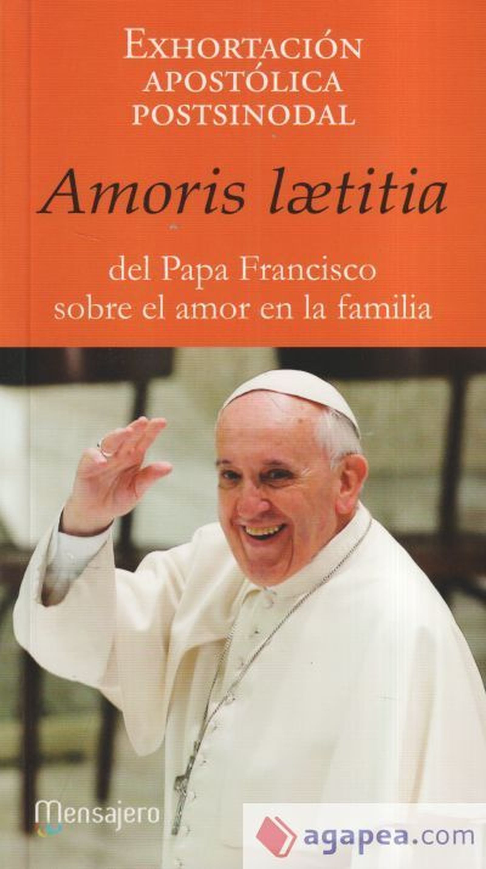Exhortación apostólica postsinodal 'Amoris laetitia'
