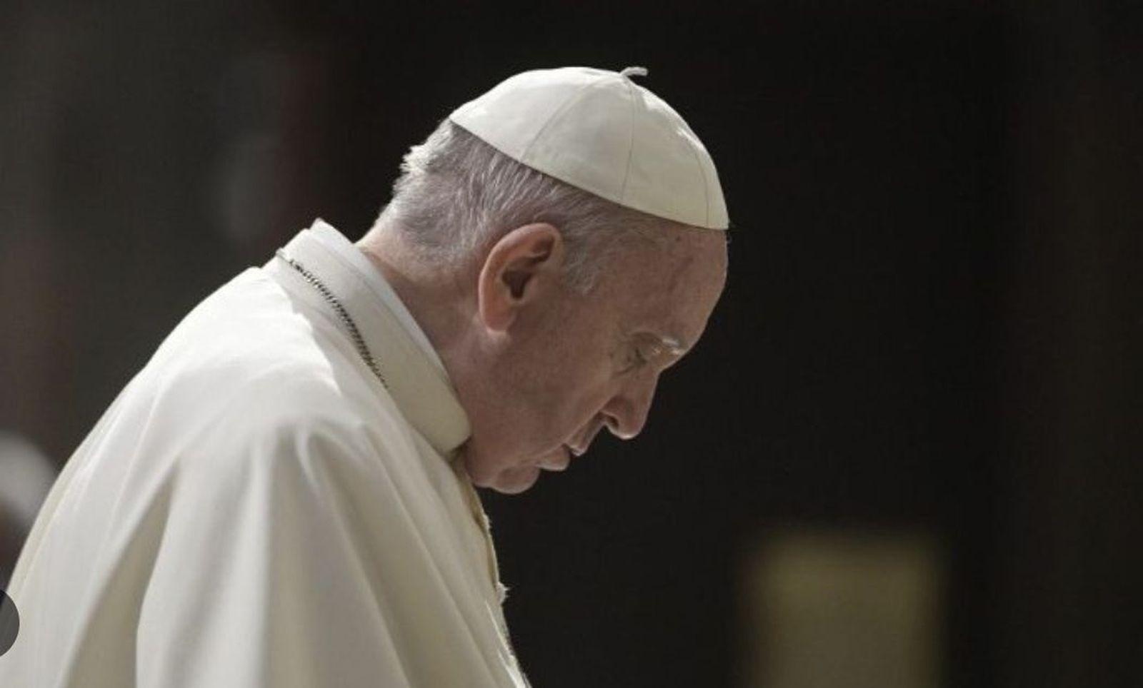 Papa Francisco: Palabra rezada