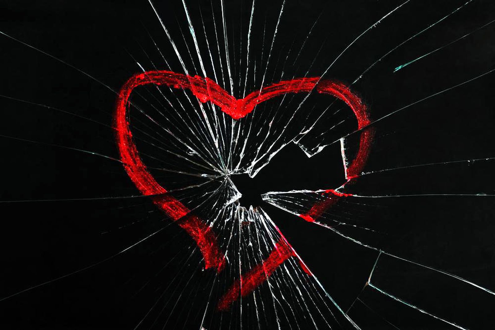 "Nos duele el dolor de lo que ocurre en cualquier parte del planeta"