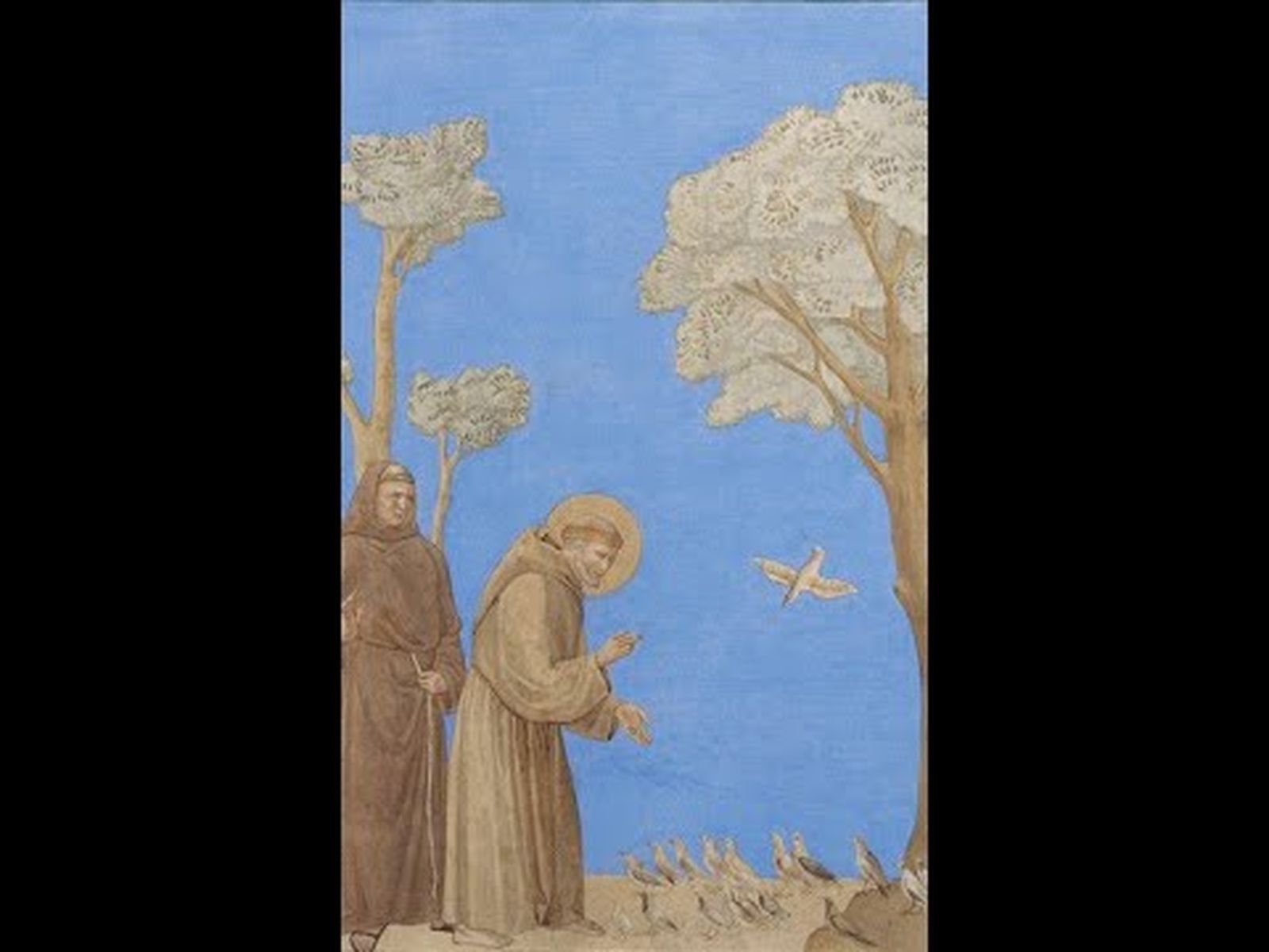 LURYART PRESENTA Y ORGANIZADO POR EL ATENEO NAVARRO CONCIERTO VIII CENTENARIO DEL CÁNTICO DE LAS CRIATURAS 12 DICIEMBRE 2025.IGLESIASANTO DOMINGO. PAMPLONA.NAVARRA