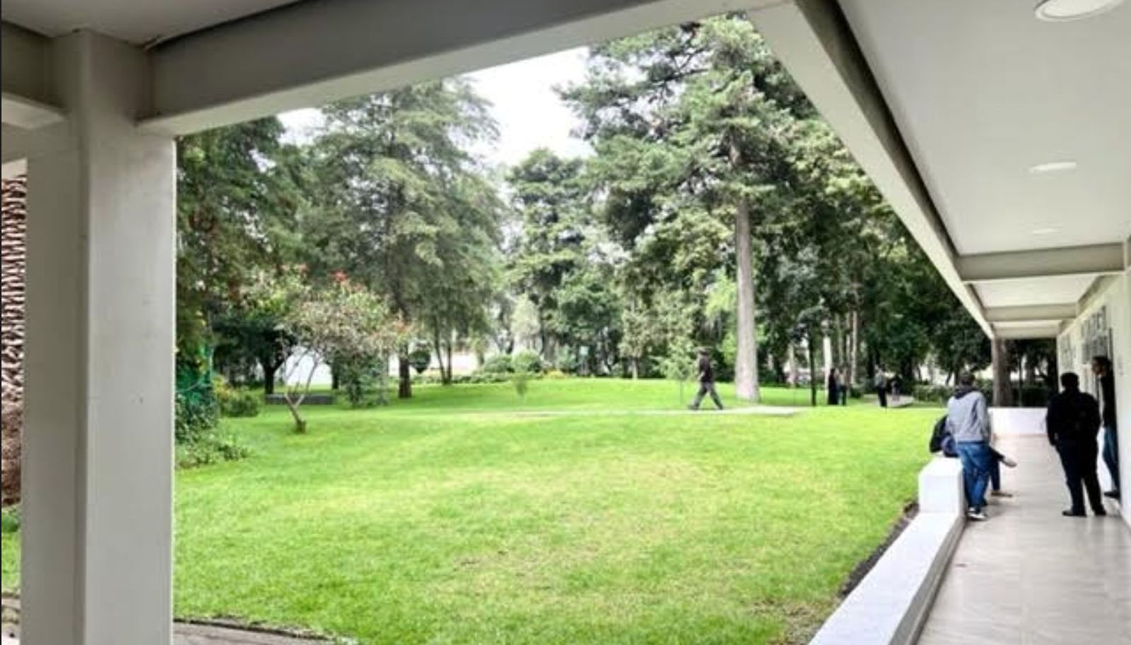 Pontificia de México