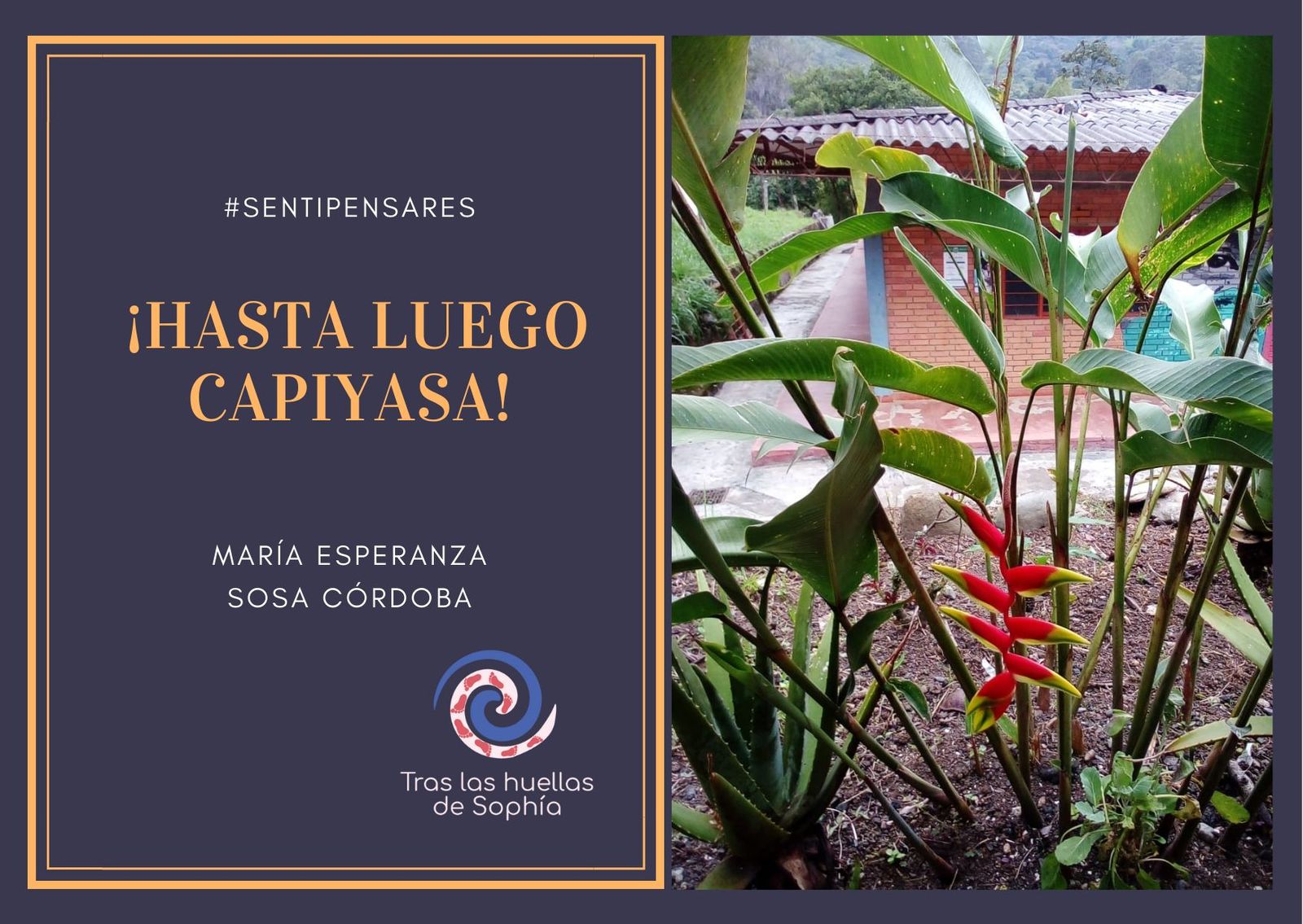 ¡HASTA LUEGO CAPIYASA!