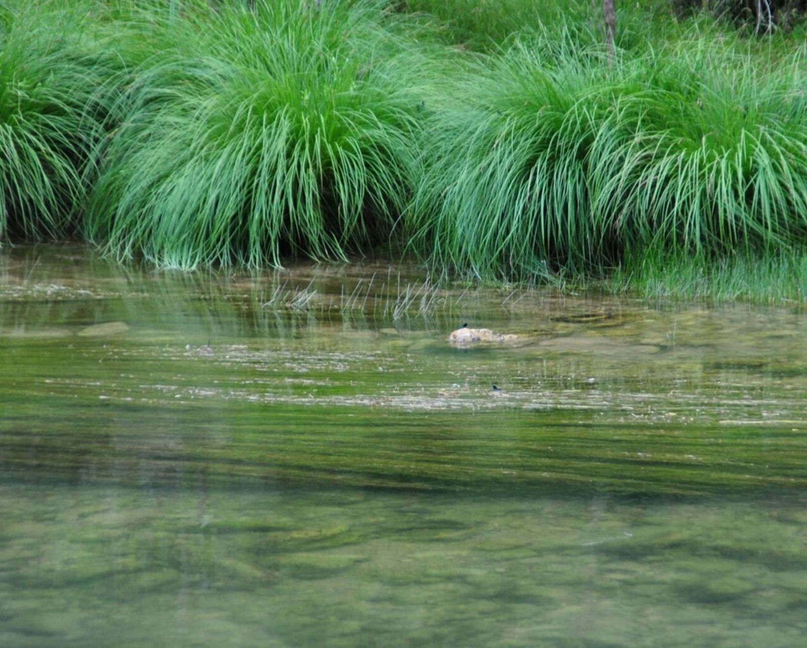 23 de Mayo: Mes de María