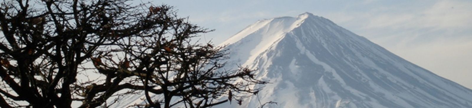 bach-braunfels-bwv536