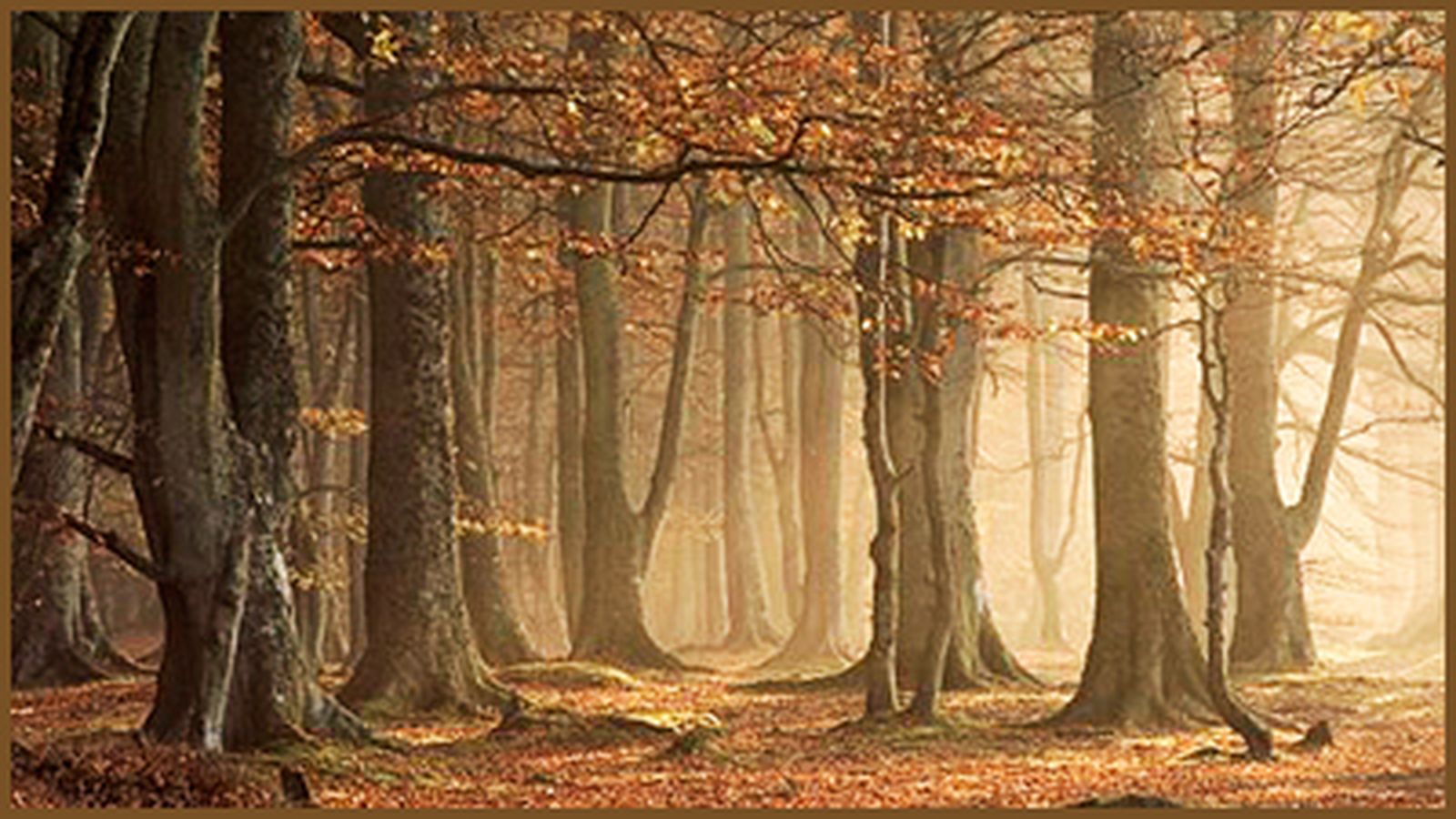 Versos para orar en la NATURALEZA y4