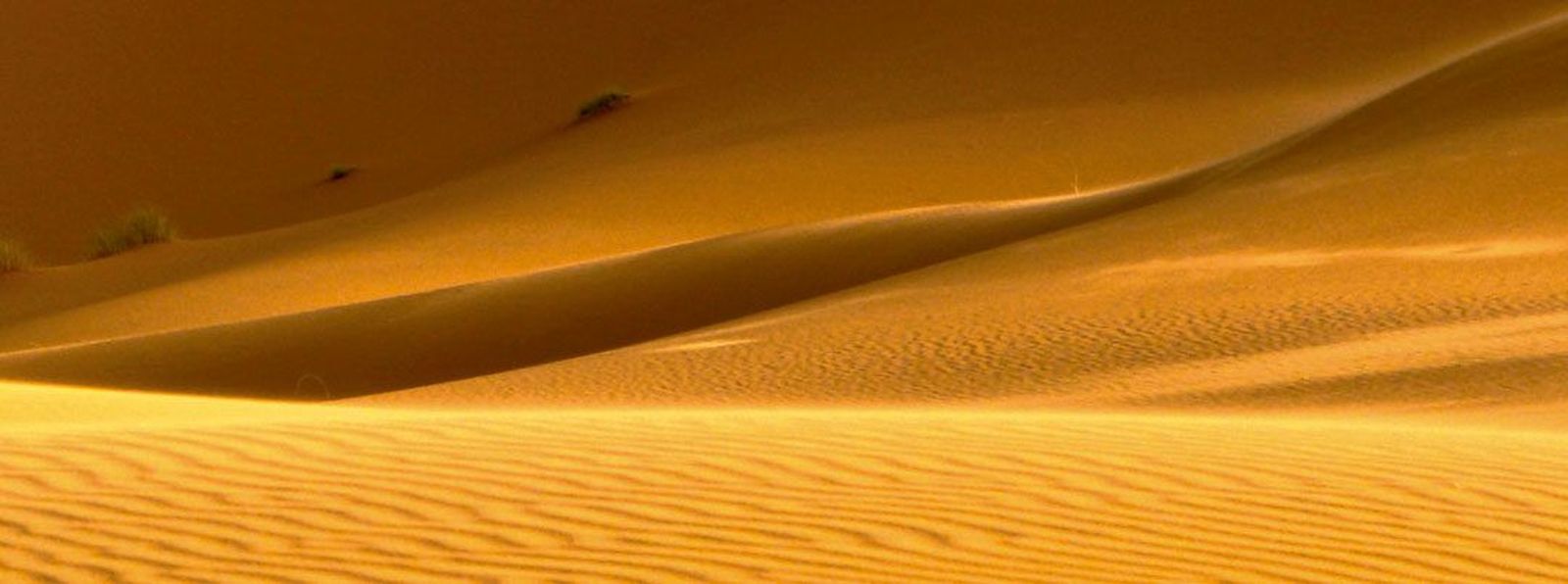 Espiritualidad-desierto-CdeF-1080x402