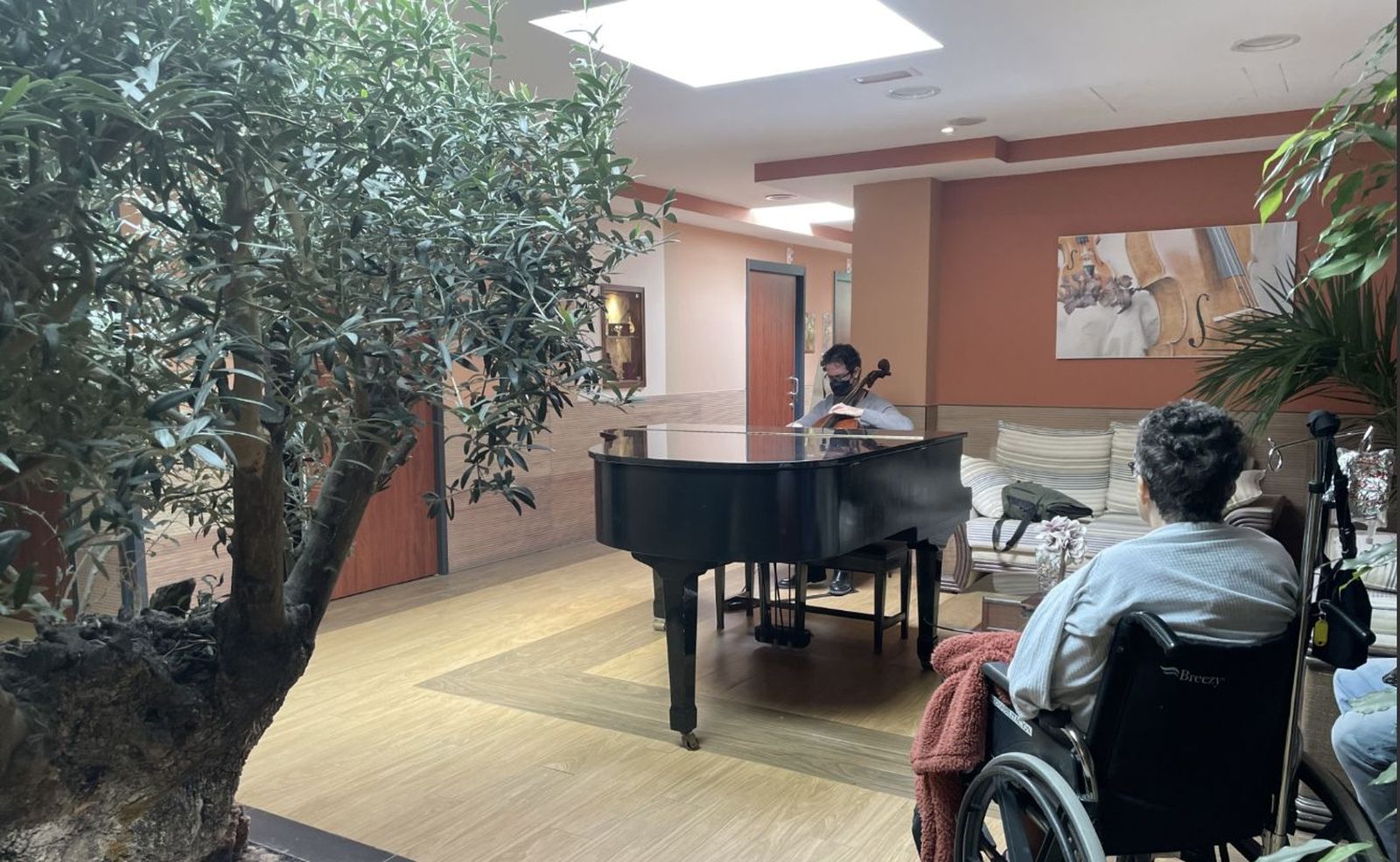 Centro de Cuidados Paliativos