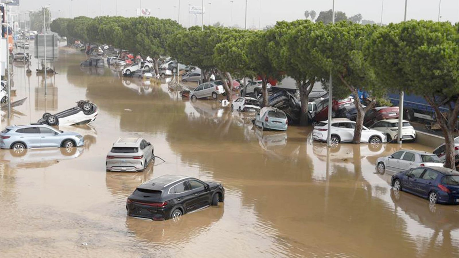 Sobrevivir en tiempos de angustia
