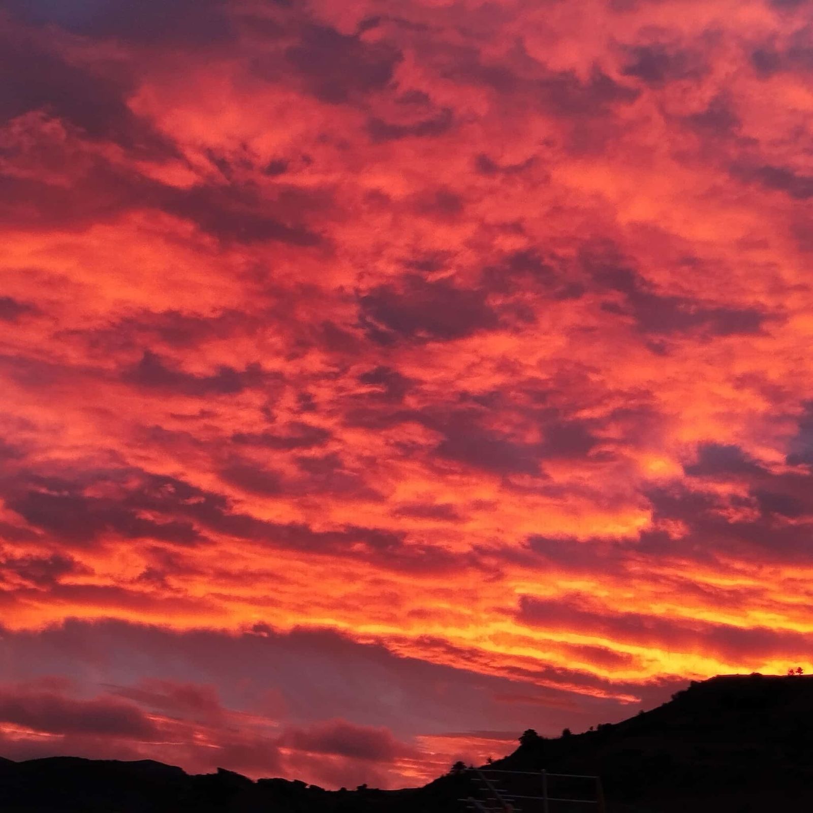 26 de octubre: XXX Domingo del Tiempo Ordinario