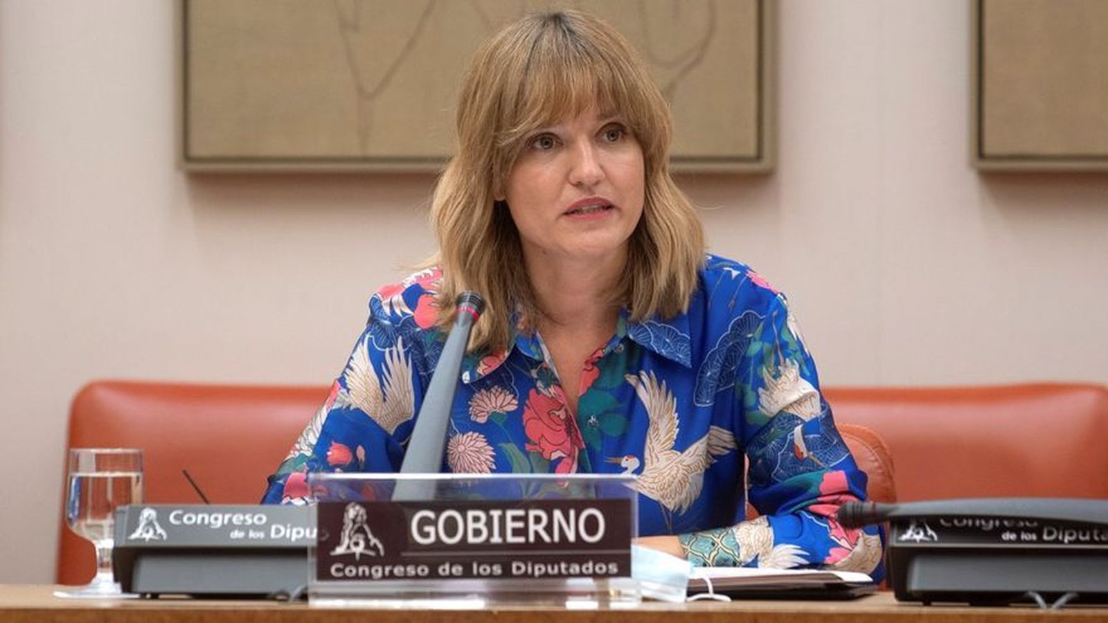 Propuesta educativa del Gobierno