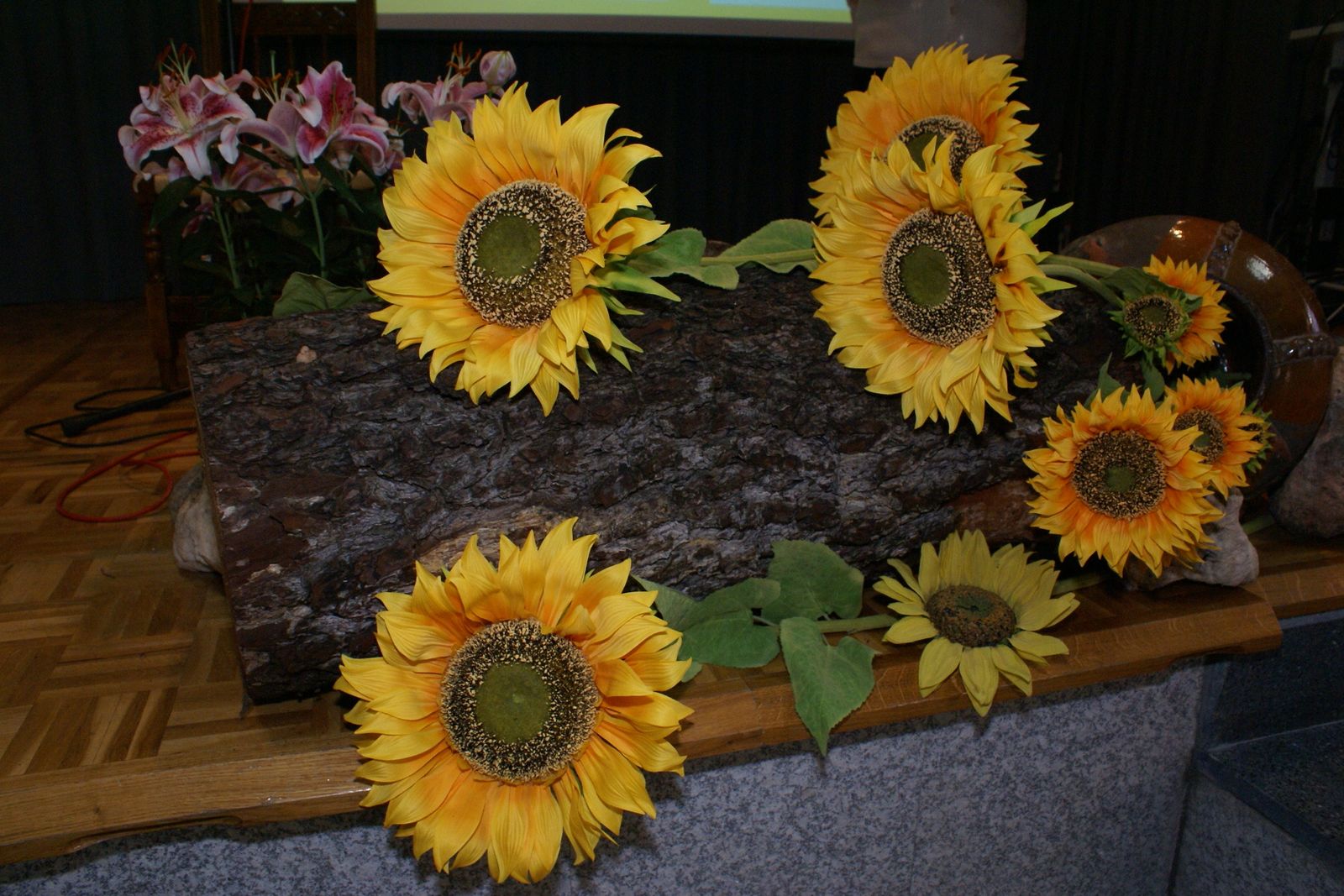 Lo primero: no hacer daño