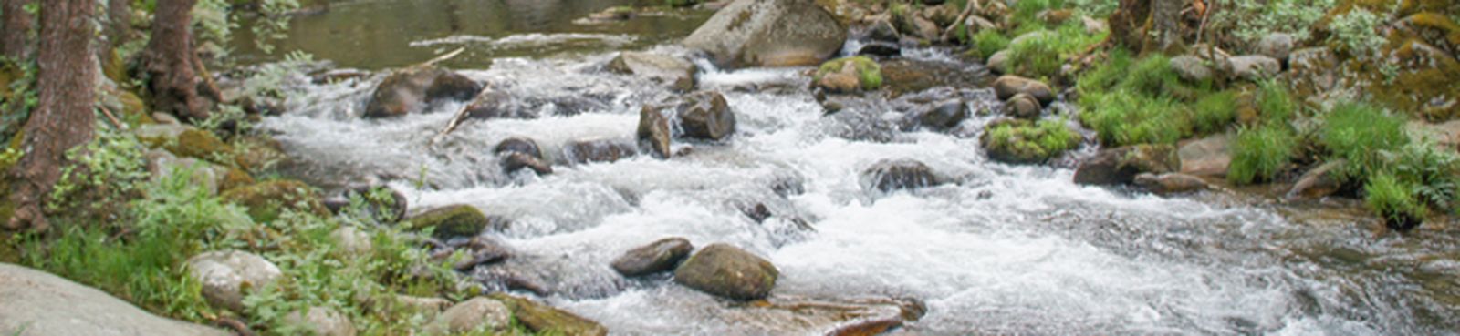 bach-goedicke-preludio-fuga-bwv541