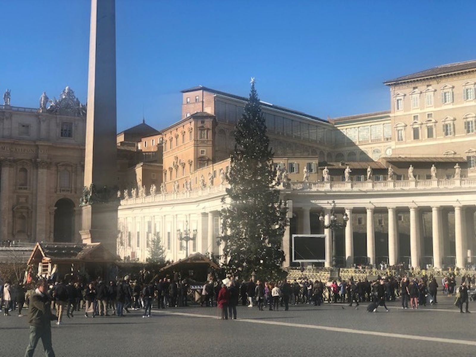 Belén y árbol vaticano