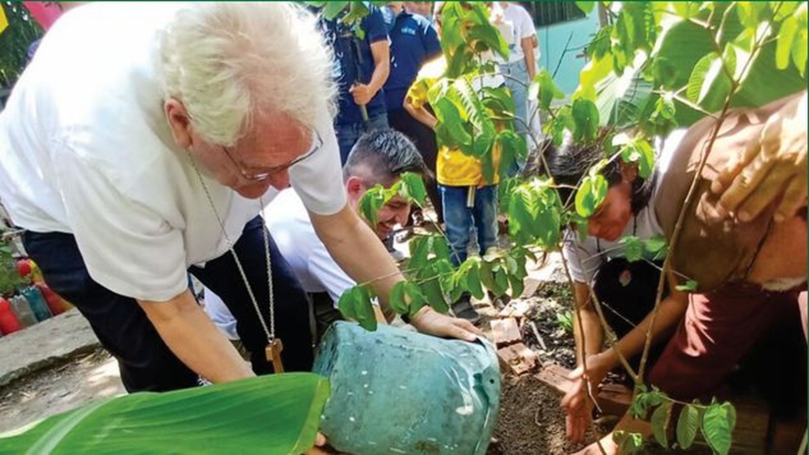 Cardenal Steiner apuesta por Prácticas de Ecología Integral