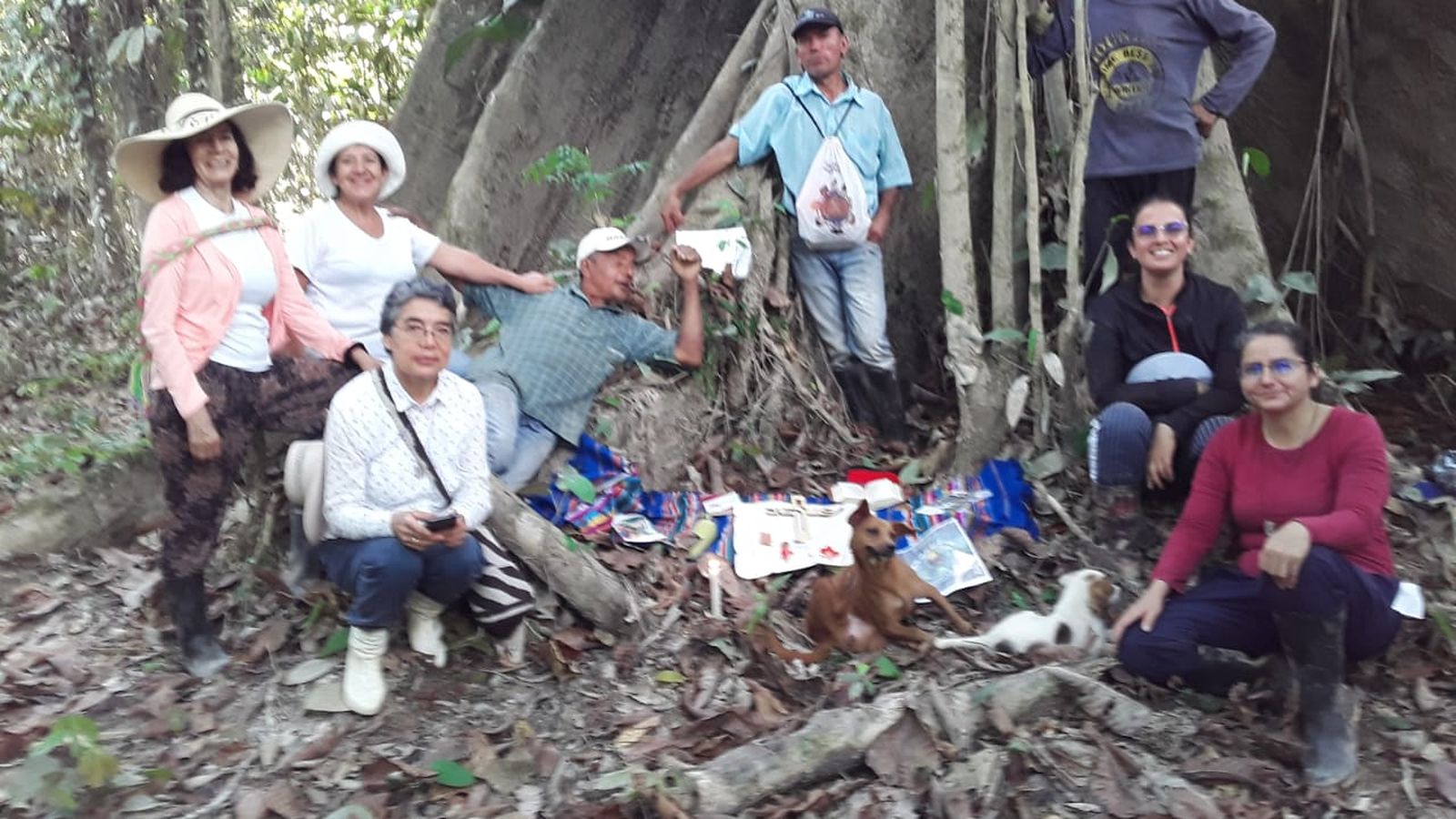 0c40a8fe-703b-46d6-9c4d-3b83849a46b2