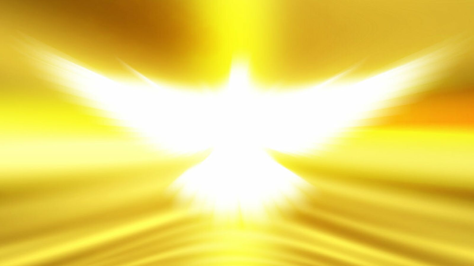 No hay alma sin forma, ni forma sin alma