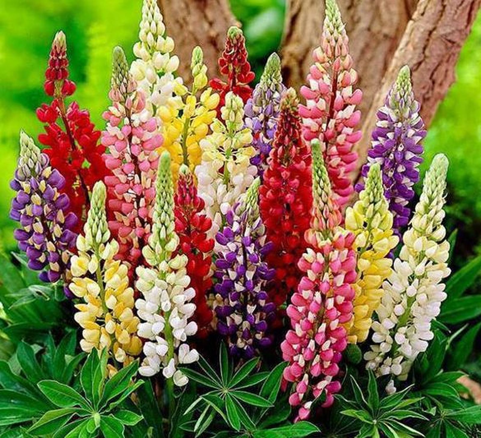 18 III Miércoles de Pascua