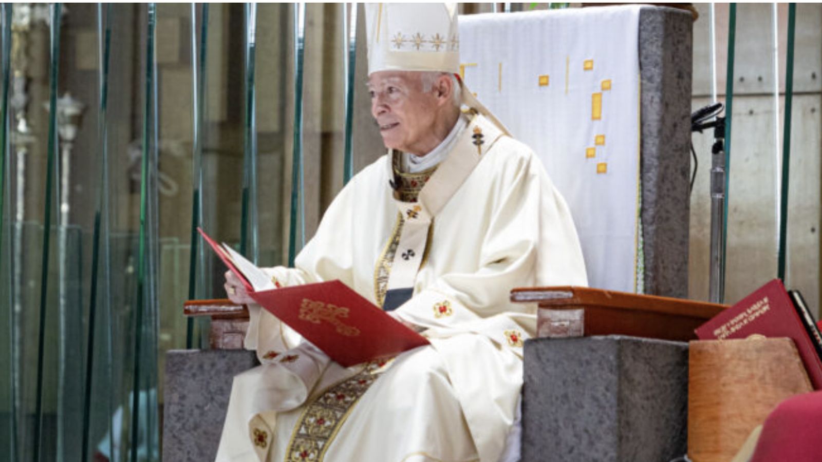 Cardenal Aguiar