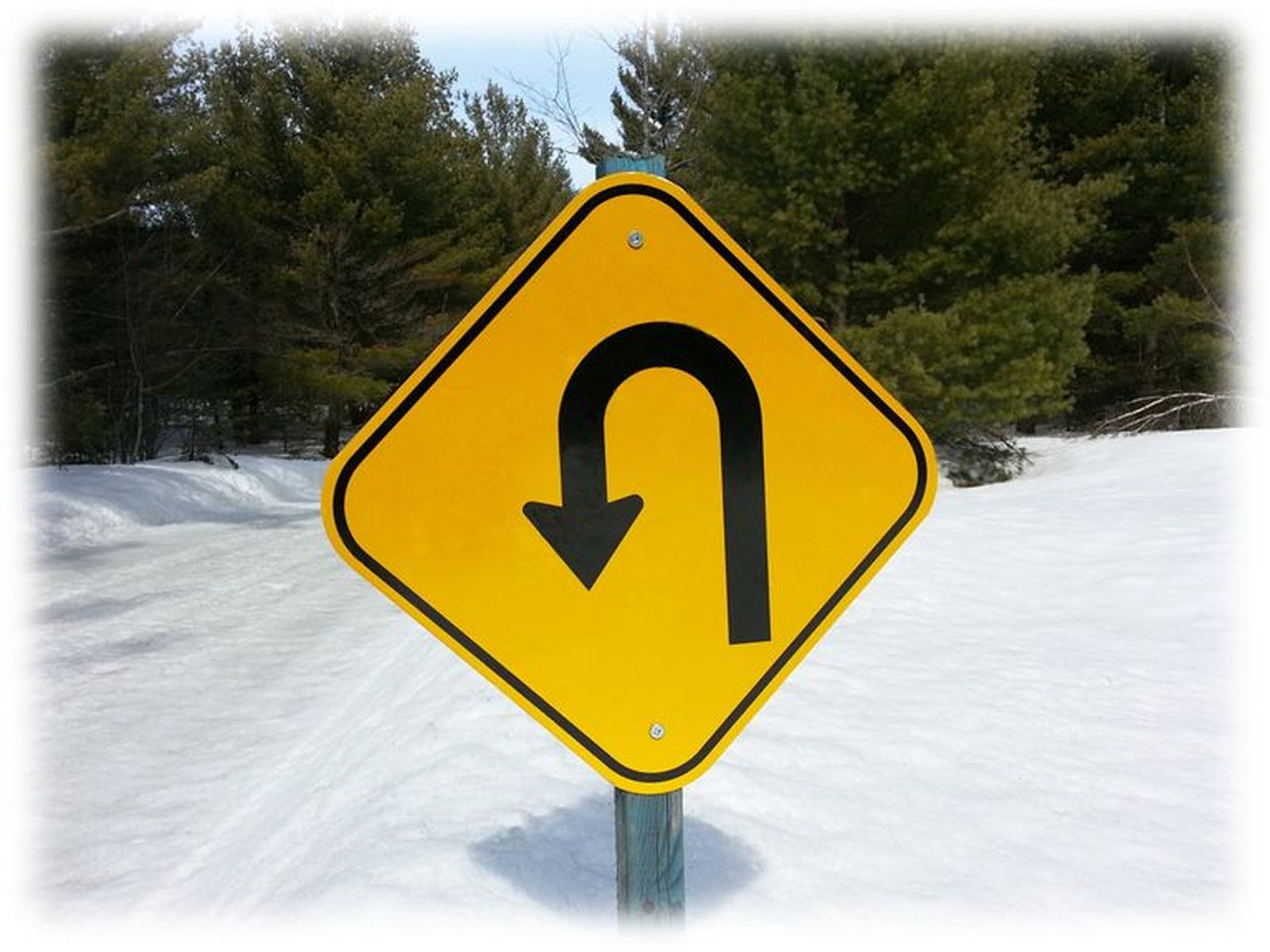 Ha pasado más de un año