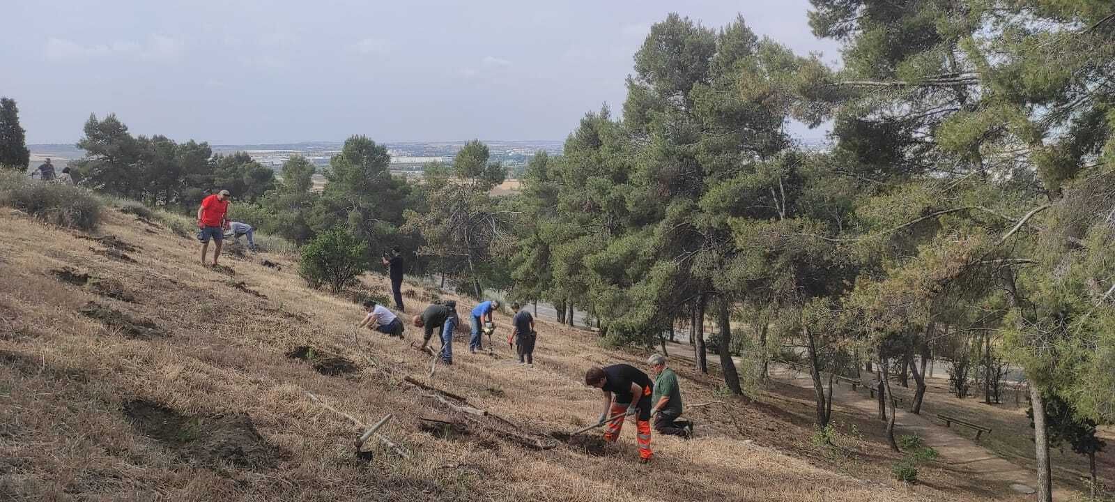 Reforestación en el Cerro de los Ángeles