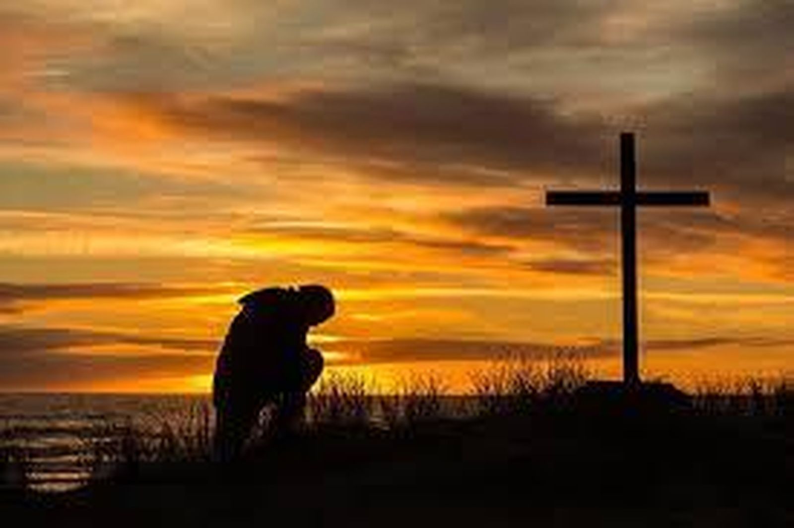 El árbol de la cruz