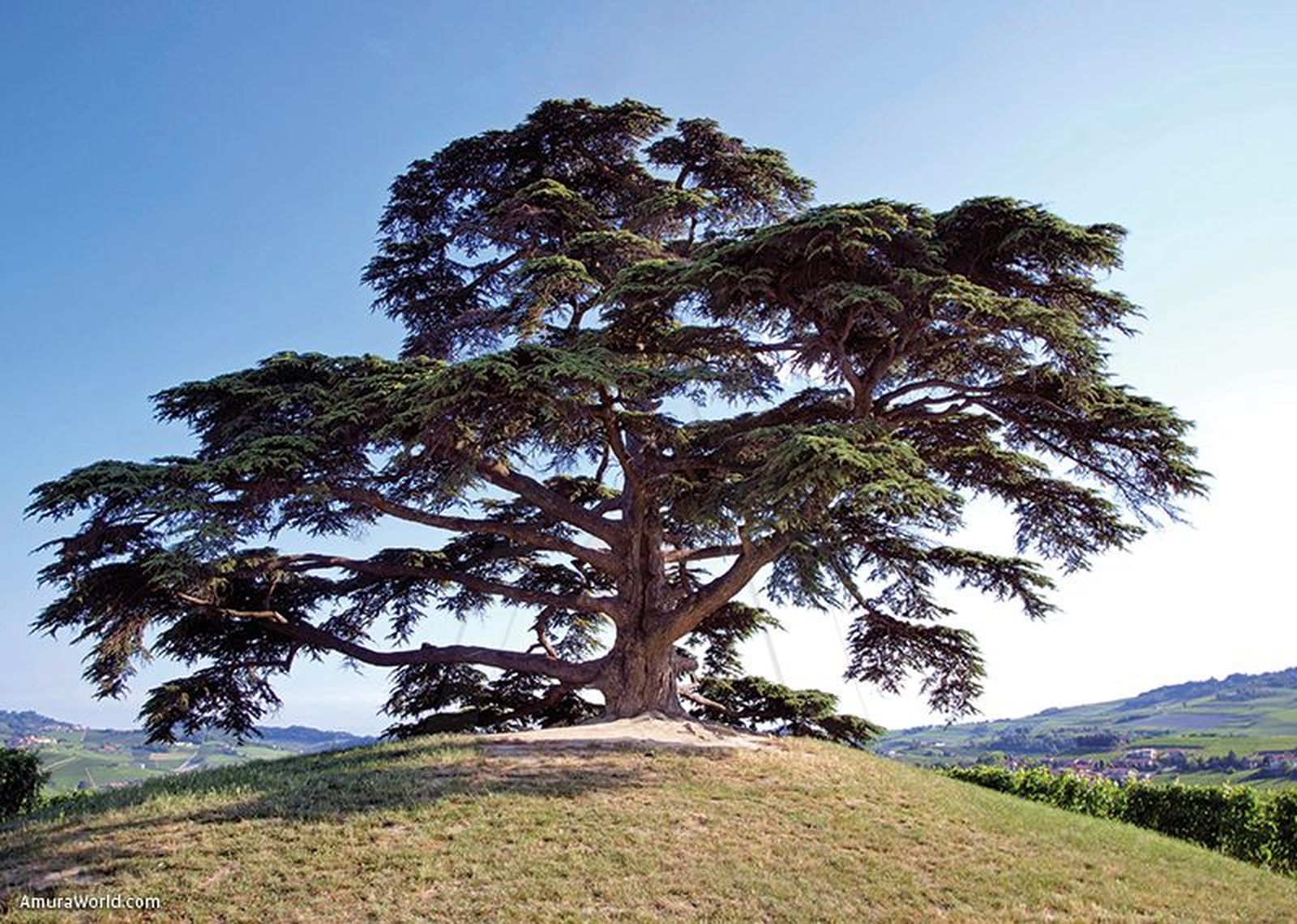 I Sábado de Adviento