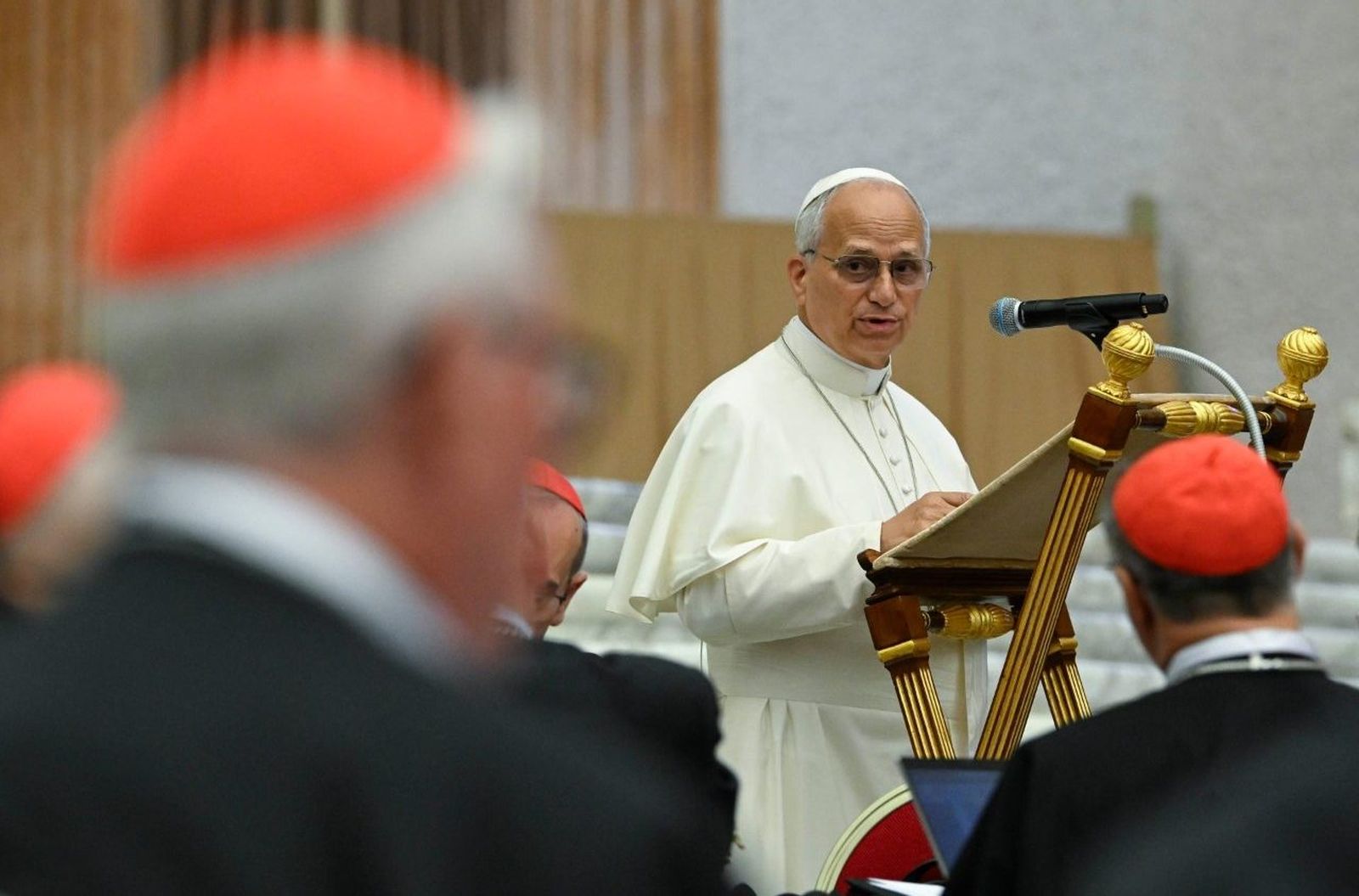 El Papa se dirige a los cardenales durante su segundo consistorio