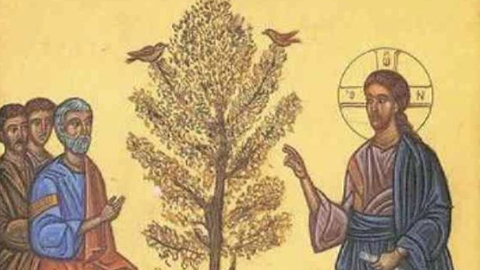 Grano de mostaza