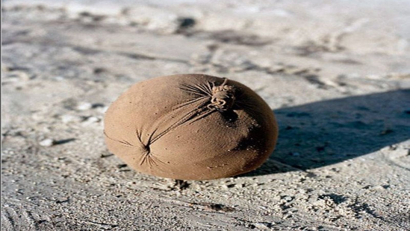 Balón de trapo