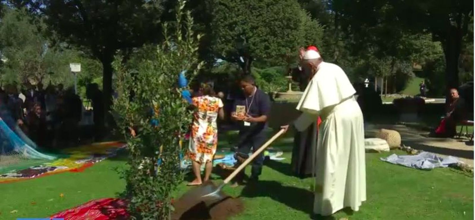 Francisco planta la encina