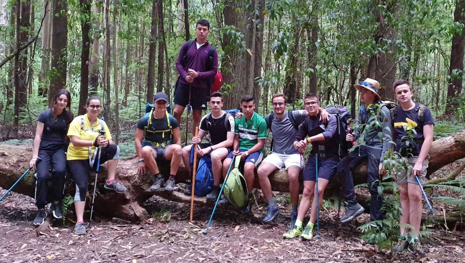 Un Camino de Santiago diferente