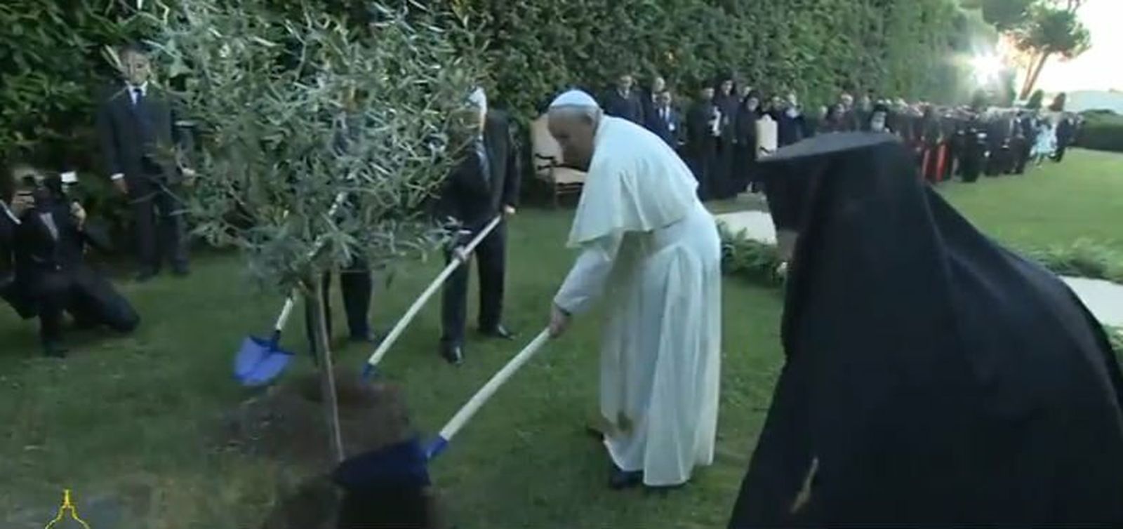 Bartolomé, Francisco, Peres y Abbas plantaron un árbol por la paz