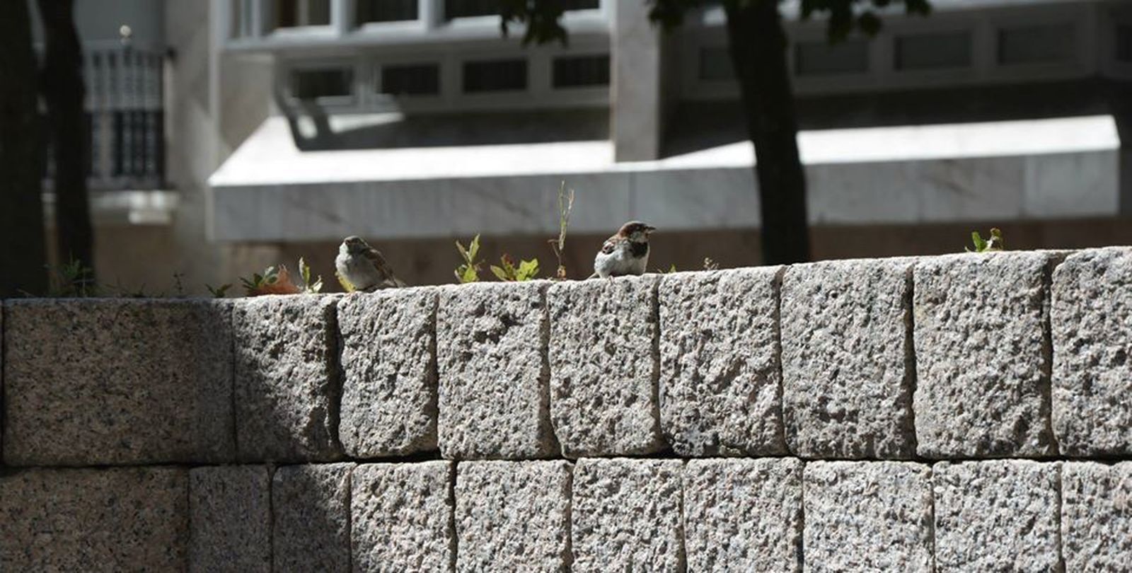 Hemos de cuidar la naturaleza