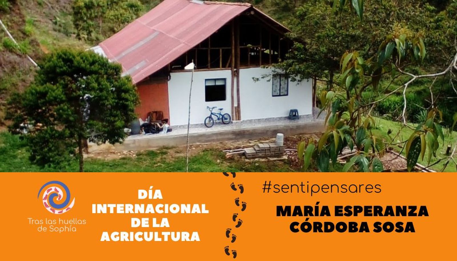 Día internacional de la agricultura