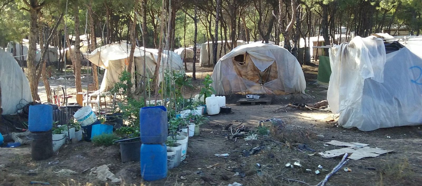 Asentamiento de inmigrates en Huelva